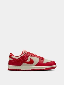 Кеды NIKE DUNK LOW модель HF1986-100 Фото