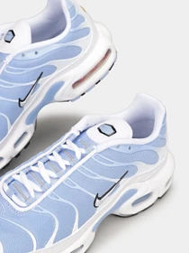 Кросівки NIKE AIR MAX PLUS WHITE ALUMINUM модель DZ3671-105 Фото