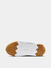 Кроссовки NIKE DUNK LOW BG модель HM4771-105 Фото