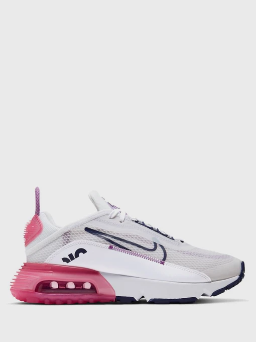 Кросівки NIKE Air Max 2090 модель CJ4066-003 Фото
