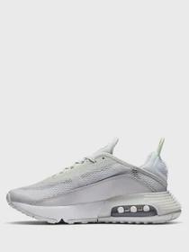 Кроссовки NIKE Air Max 2090 модель CJ4066-005 Фото