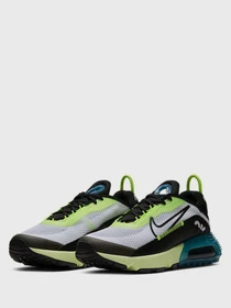 Кросівки NIKE Air Max 2090 модель CJ4066-101 Фото