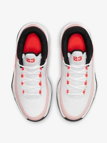 Кроссовки NIKE Jordan Max Aura 3 модель DA8021-102 Фото