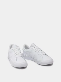 Кеды NIKE Court Legacy модель DA5380-104 Фото