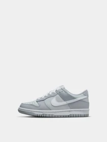 Кеди NIKE DUNK LOW TWO-TONED модель DH9765-001 Фото