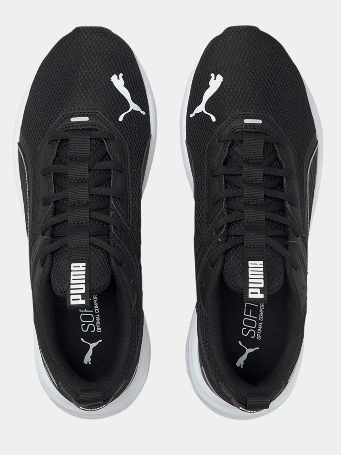 Кроссовки PUMA Scorch Runner модель 19445901 Фото