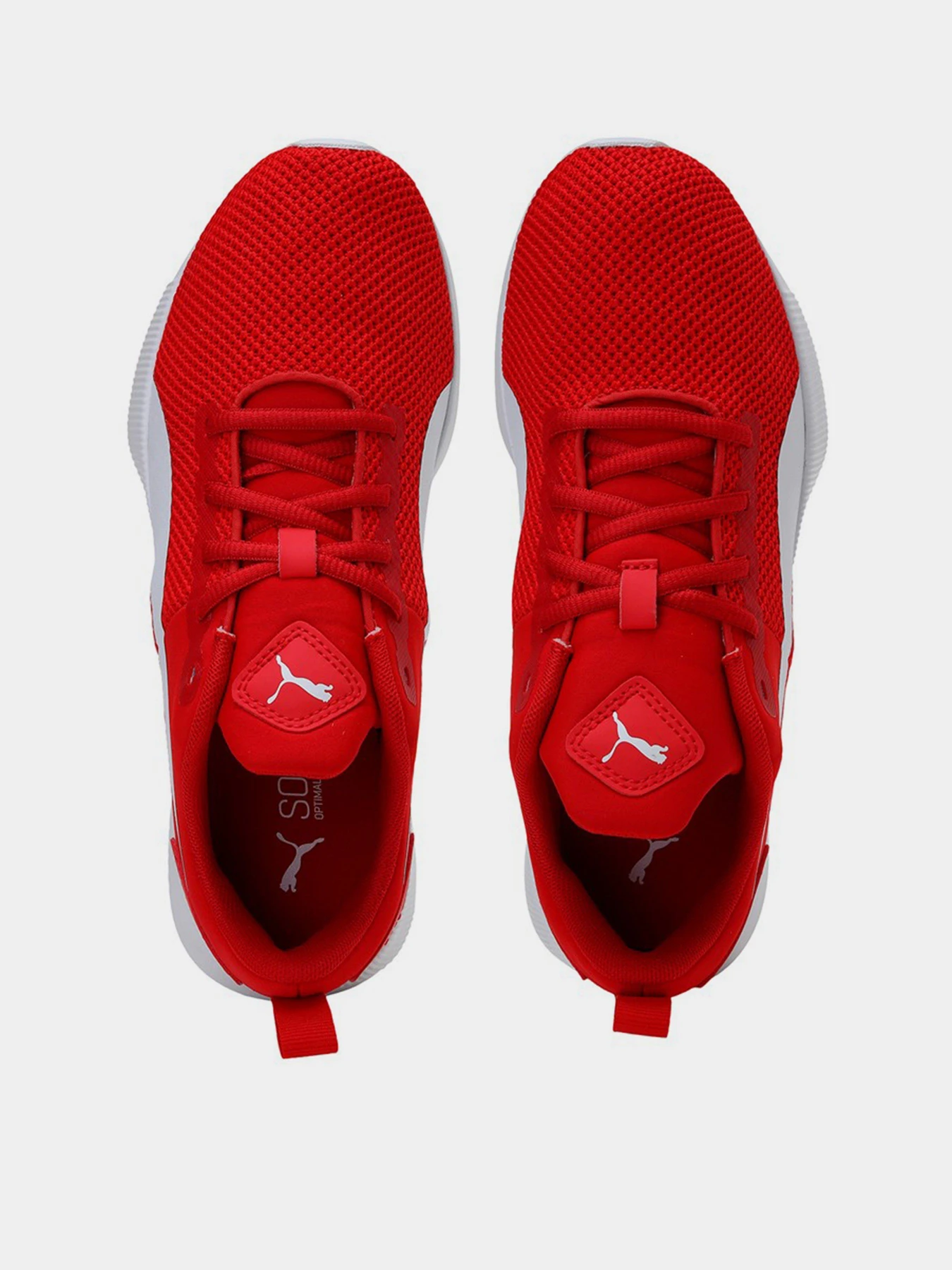 Кроссовки PUMA FLYER RUNNER модель 19225743 Кроссовки PUMA FLYER RUNNER модель 19225743 Фото