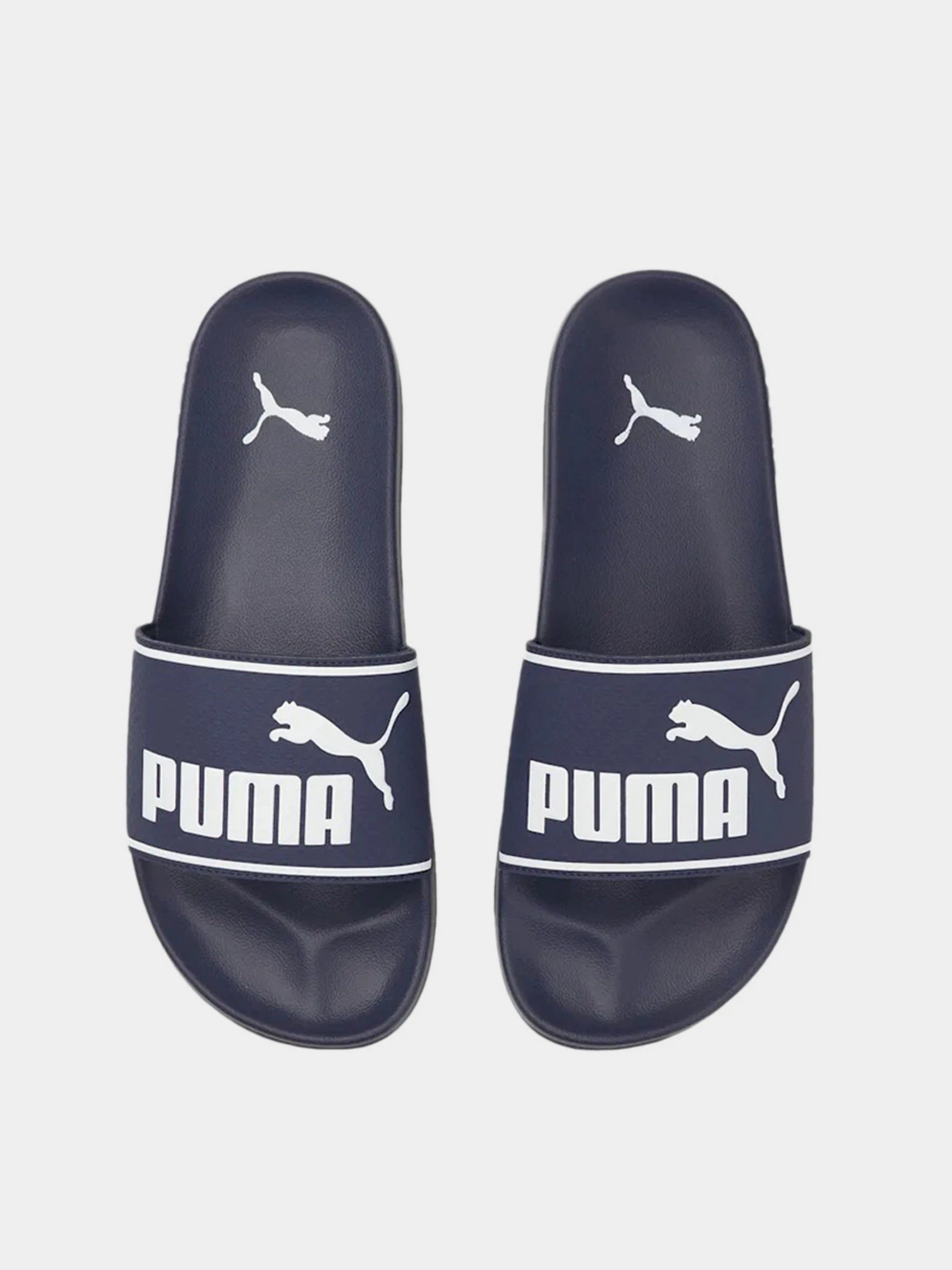 Шльопанці PUMA Leadcat 2.0 модель 38413904 Шльопанці PUMA Leadcat 2.0 модель 38413904 Фото