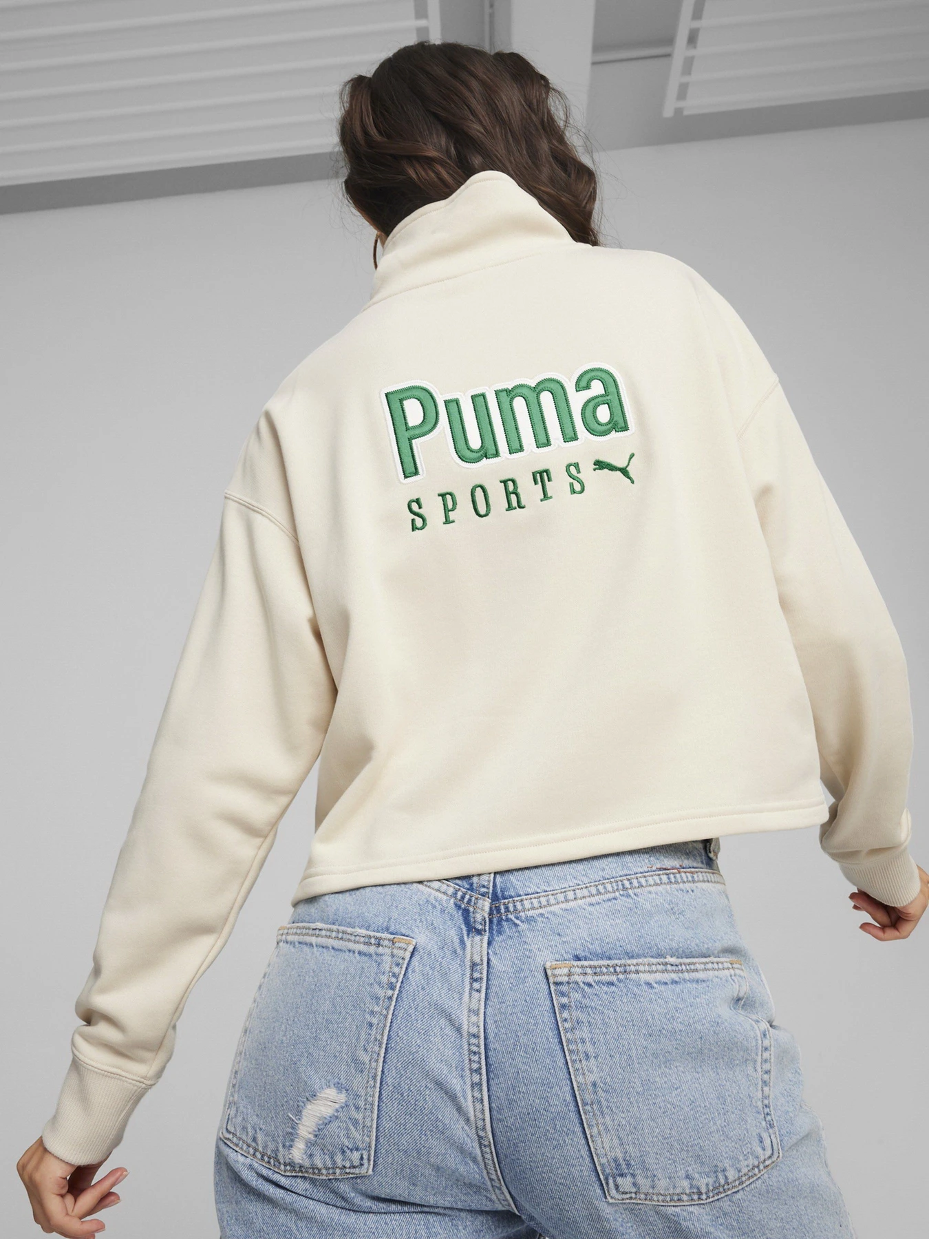Худи и свитшоты PUMA TEAM HALF-ZIP CREW модель 62432487 Фото