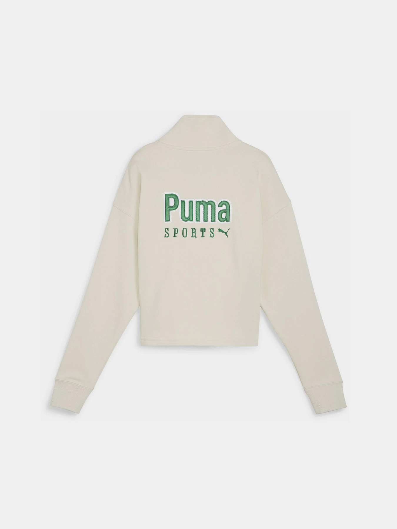 Худи и свитшоты PUMA TEAM HALF-ZIP CREW модель 62432487 Фото