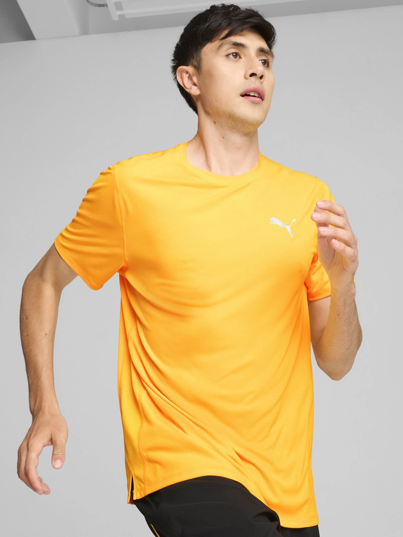 Футболки и поло PUMA RUN FAVORITE VELOCITY модель 52505838 Футболки и поло PUMA RUN FAVORITE VELOCITY модель 52505838 Фото