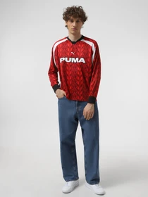 Худи и свитшоты PUMA FOOTBALL JERSEY EASY RIDER модель 62754313 Фото