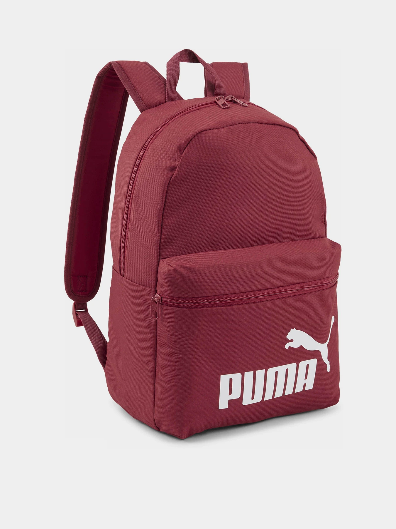 Рюкзаки PUMA PHASE 22L модель 07994335 Рюкзаки PUMA PHASE 22L модель 07994335 Фото