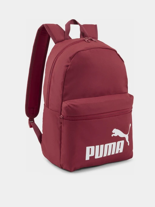 Рюкзаки PUMA PHASE 22L модель 07994335 Фото