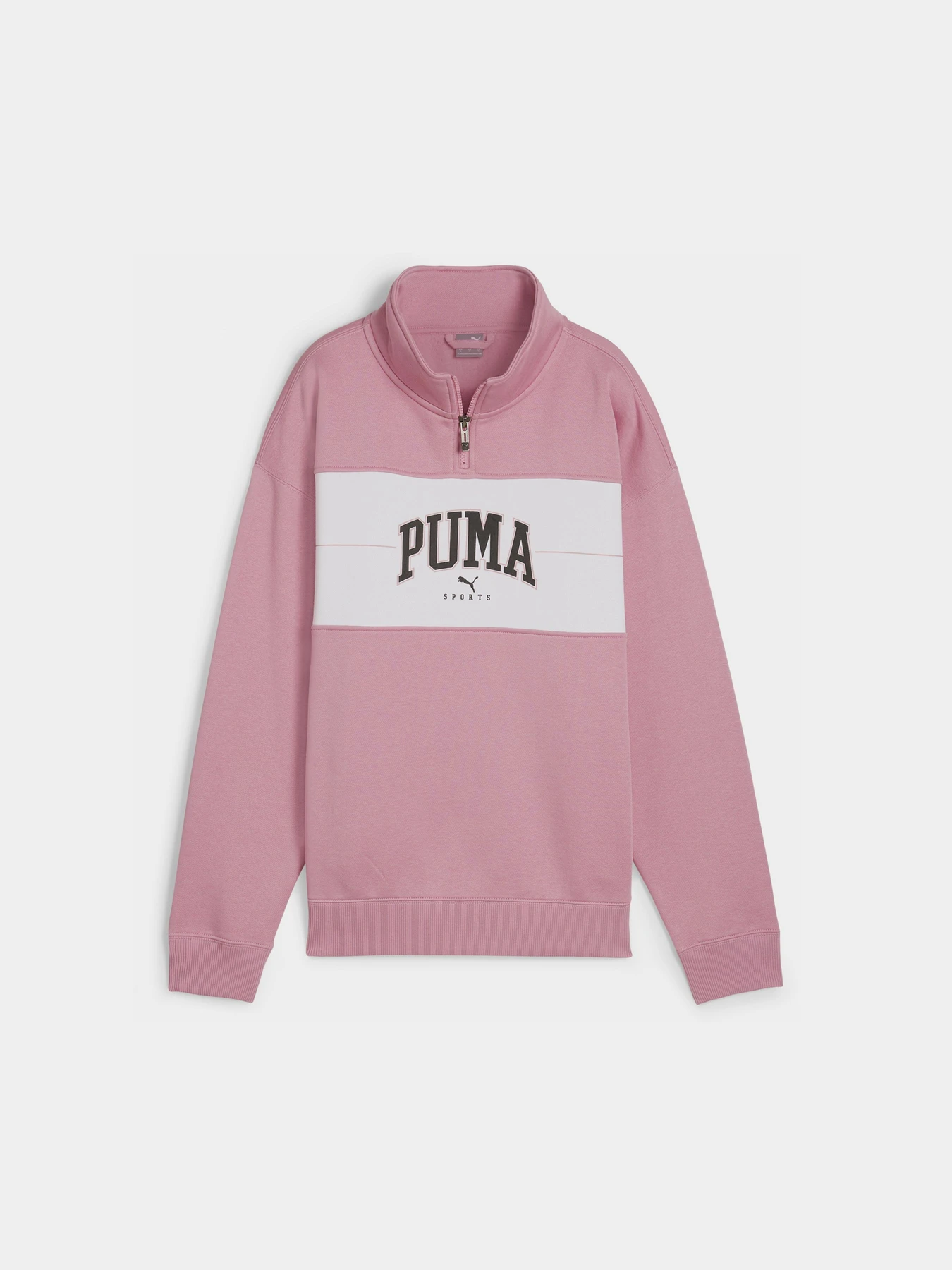 Худи и свитшоты PUMA SQUAD QUARTER-ZIP модель 68154348 Худи и свитшоты PUMA SQUAD QUARTER-ZIP модель 68154348 Фото