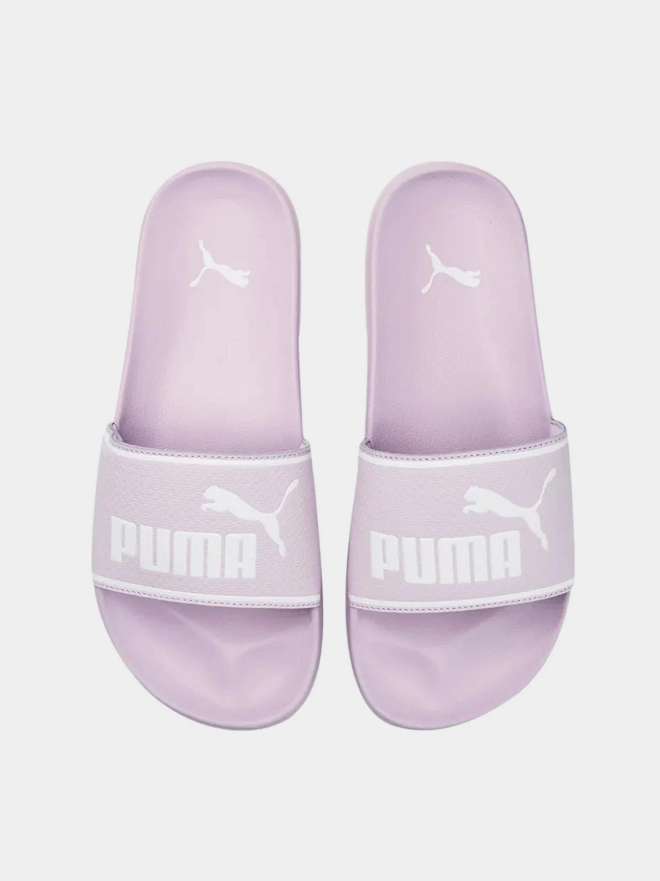 Шльопанці PUMA LEADCAT 2.0 модель 38413908 Шльопанці PUMA LEADCAT 2.0 модель 38413908 Фото