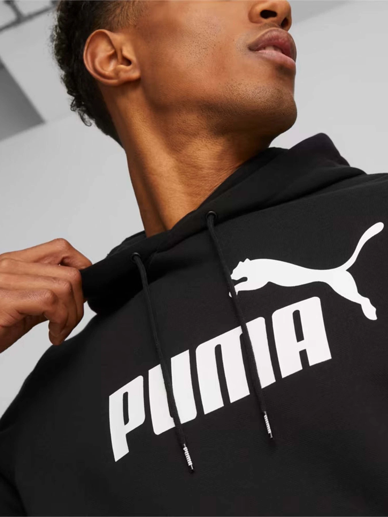Худи и свитшоты PUMA Essentials Big Logo модель 58668601 Худи и свитшоты PUMA Essentials Big Logo модель 58668601 Фото