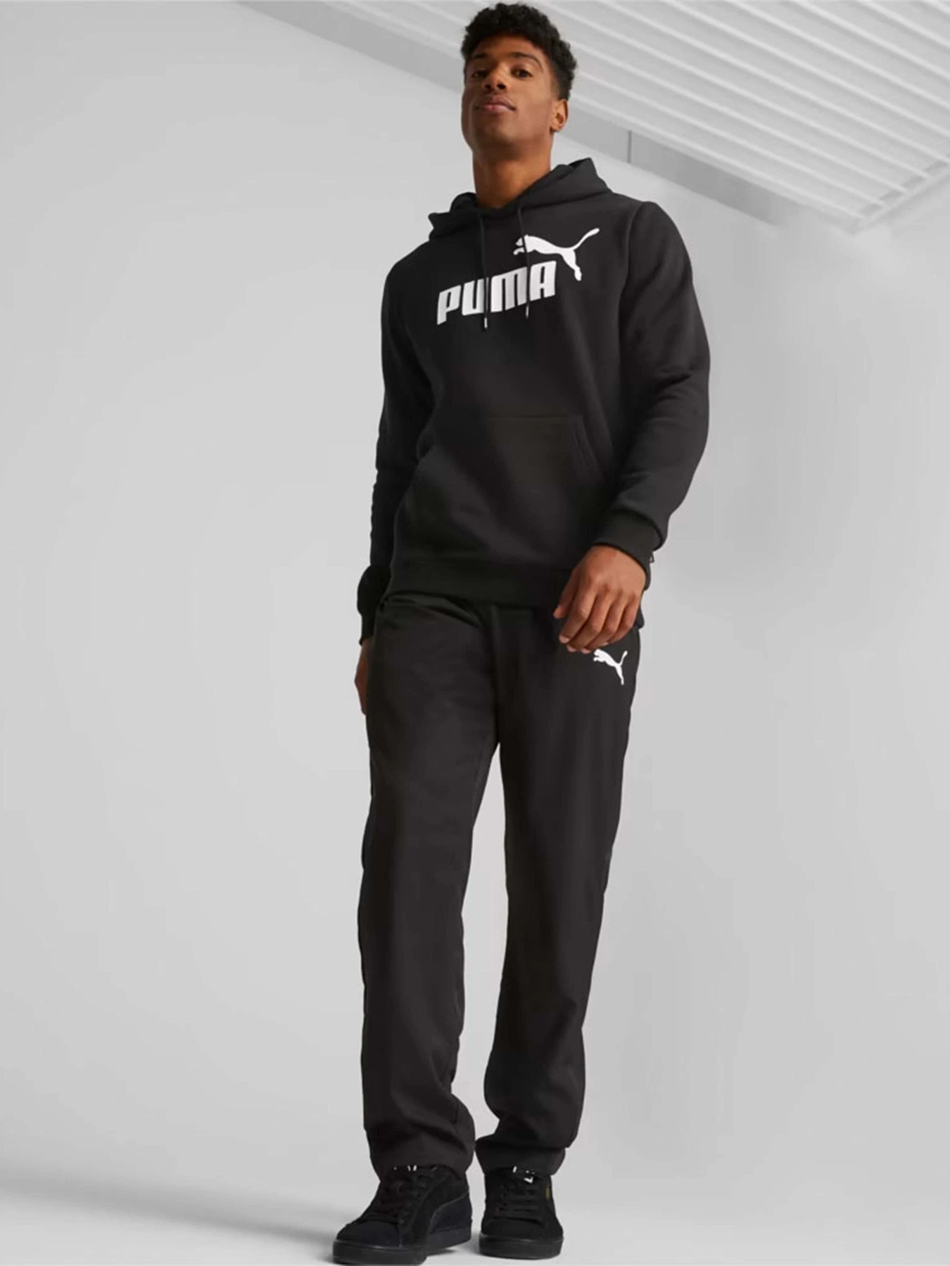 Худи и свитшоты PUMA Essentials Big Logo модель 58668601 Худи и свитшоты PUMA Essentials Big Logo модель 58668601 Фото