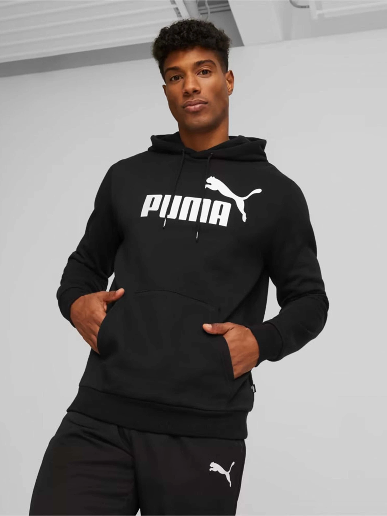 Худи и свитшоты PUMA Essentials Big Logo модель 58668601 Худи и свитшоты PUMA Essentials Big Logo модель 58668601 Фото