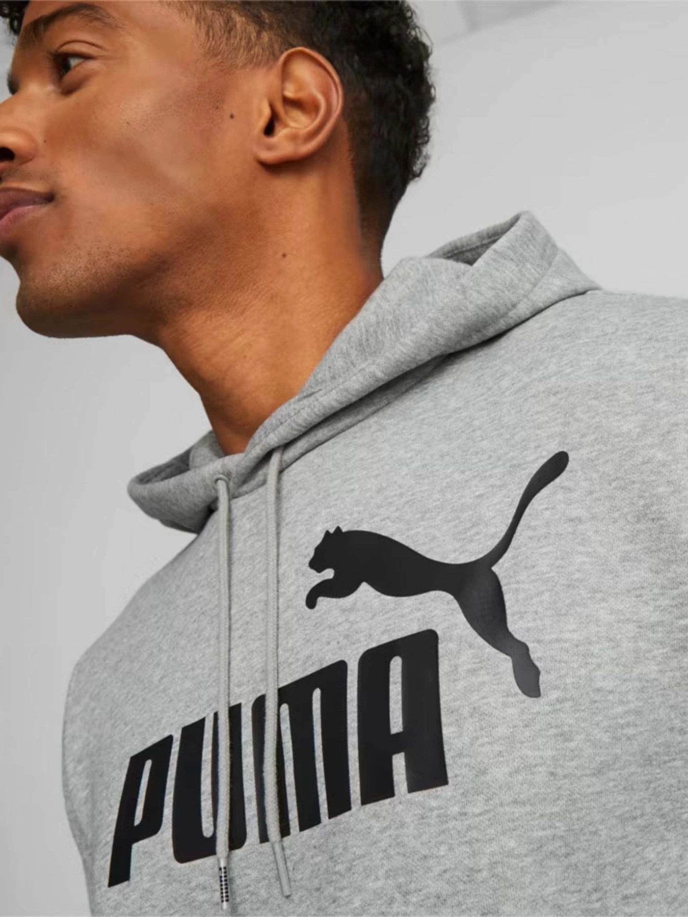 Худи и свитшоты PUMA Essentials Big Logo модель 58668603 Худи и свитшоты PUMA Essentials Big Logo модель 58668603 Фото