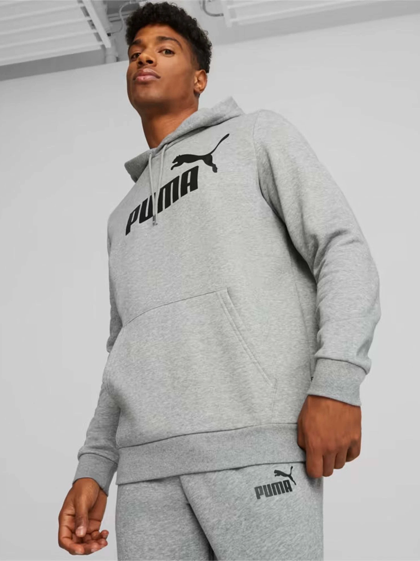 Худи и свитшоты PUMA Essentials Big Logo модель 58668603 Худи и свитшоты PUMA Essentials Big Logo модель 58668603 Фото