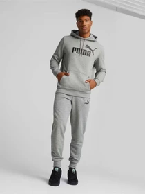 Худи и свитшоты PUMA Essentials Big Logo модель 58668603 Фото