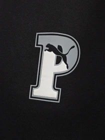 Худі та світшоти PUMA Squad модель 67680801 Фото