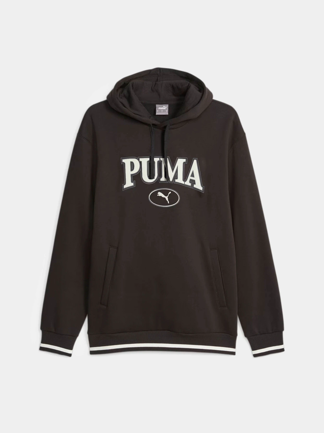 Худи и свитшоты PUMA Squad модель 67601701 Фото