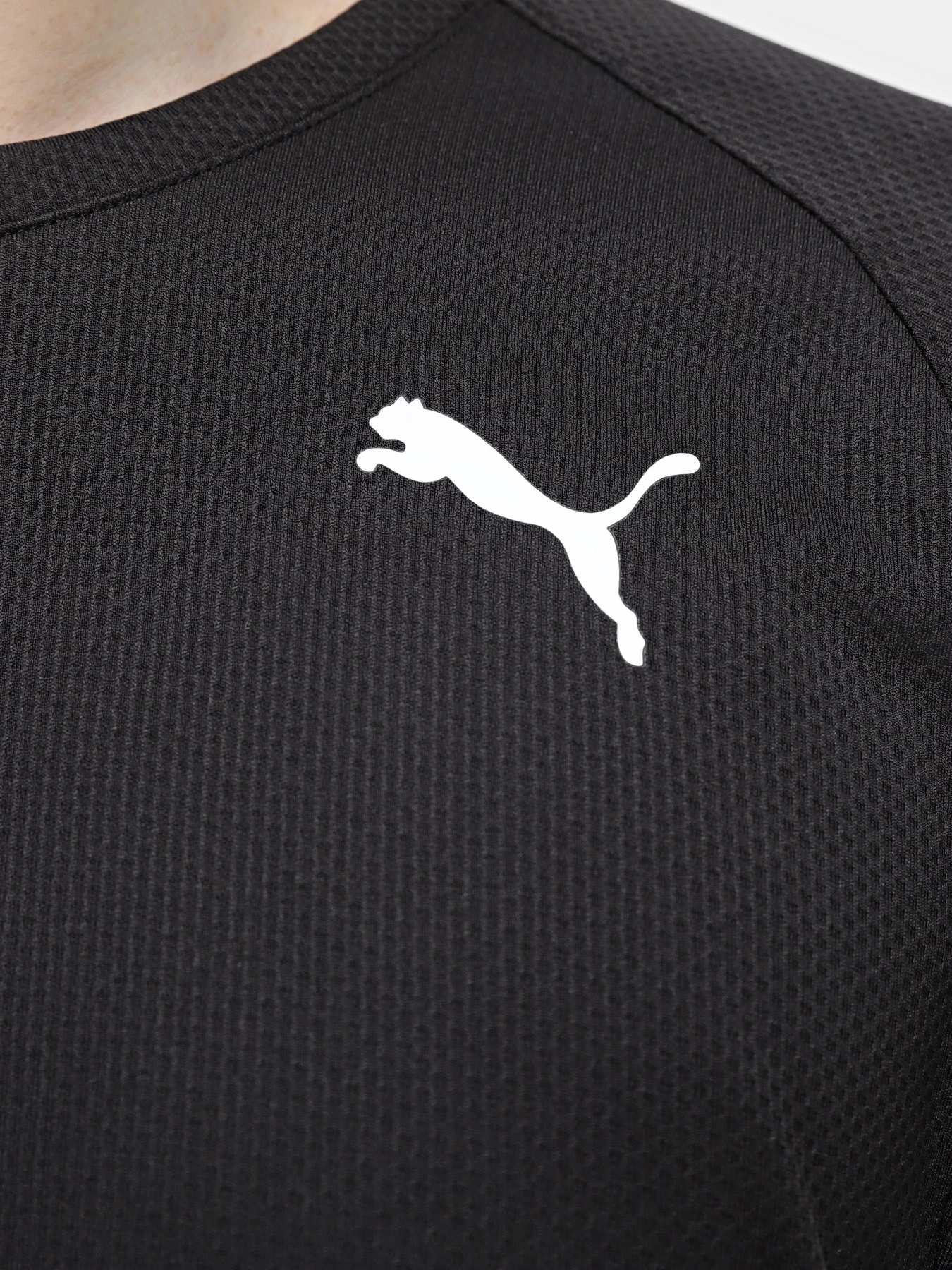 Футболки и поло PUMA FIT ULTRABREATHE модель 52493001 Футболки и поло PUMA FIT ULTRABREATHE модель 52493001 Фото