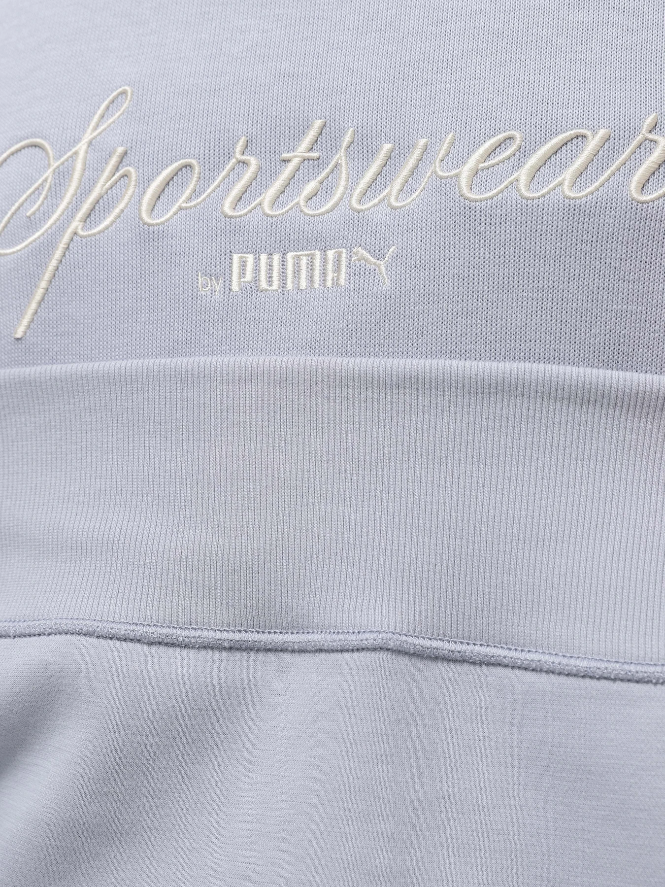 Худі та світшоти PUMA CLASSICS+ модель 62427863 Худі та світшоти PUMA CLASSICS+ модель 62427863 Фото