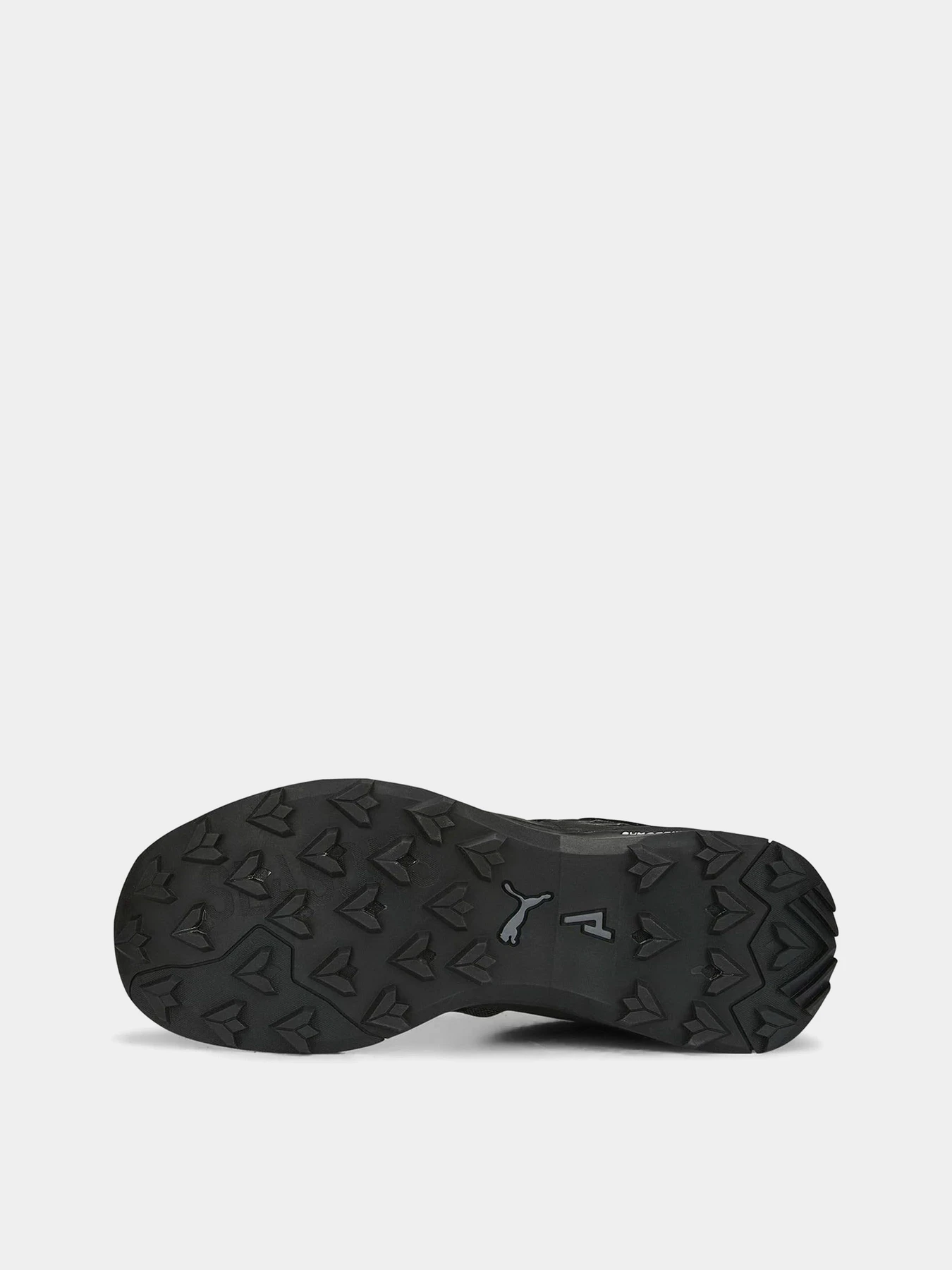 Кросівки PUMA EXPLORE NITRO  GTX модель 37802301 Фото