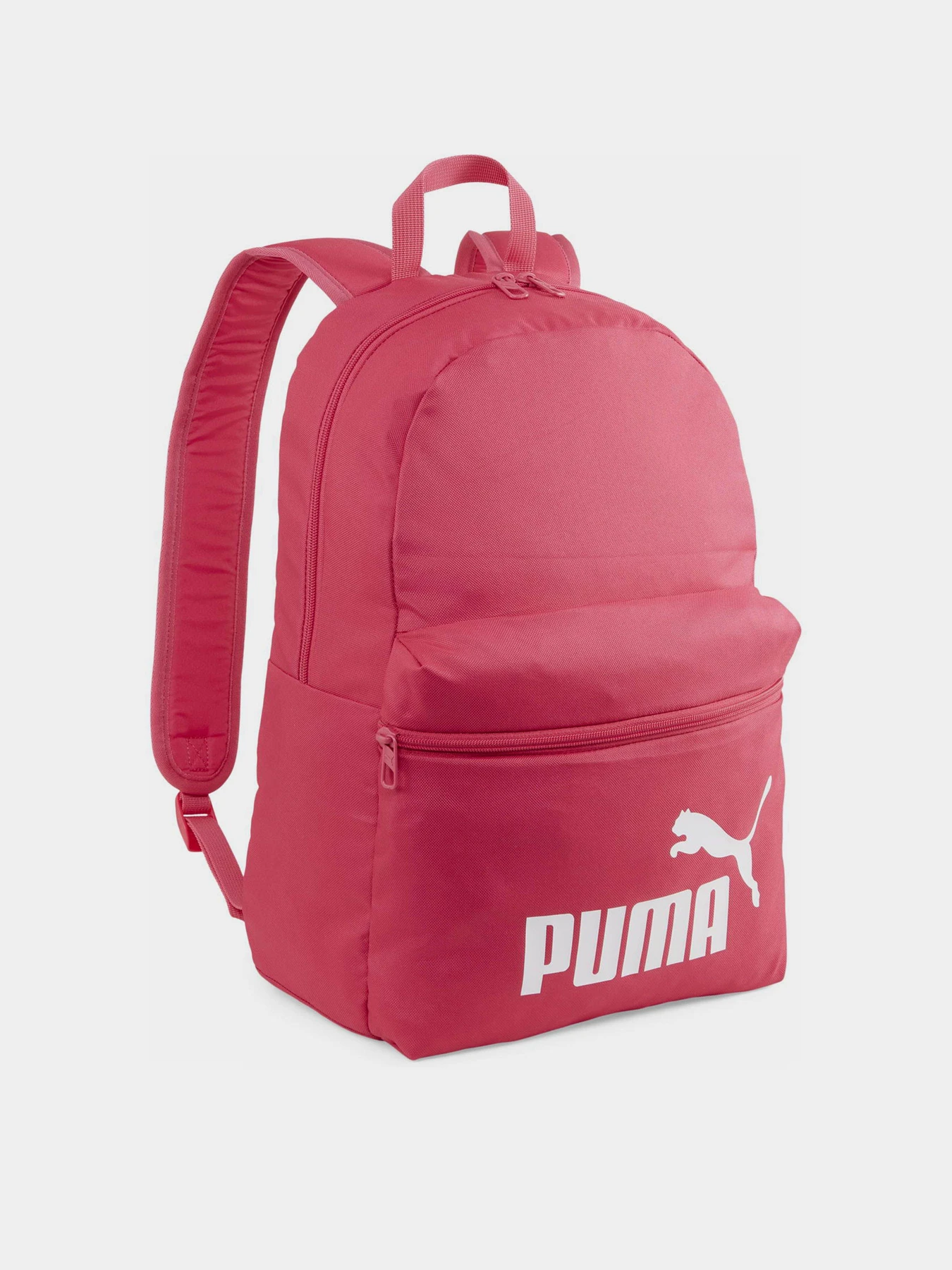 Рюкзаки PUMA PHASE 22L модель 07994311 Рюкзаки PUMA PHASE 22L модель 07994311 Фото