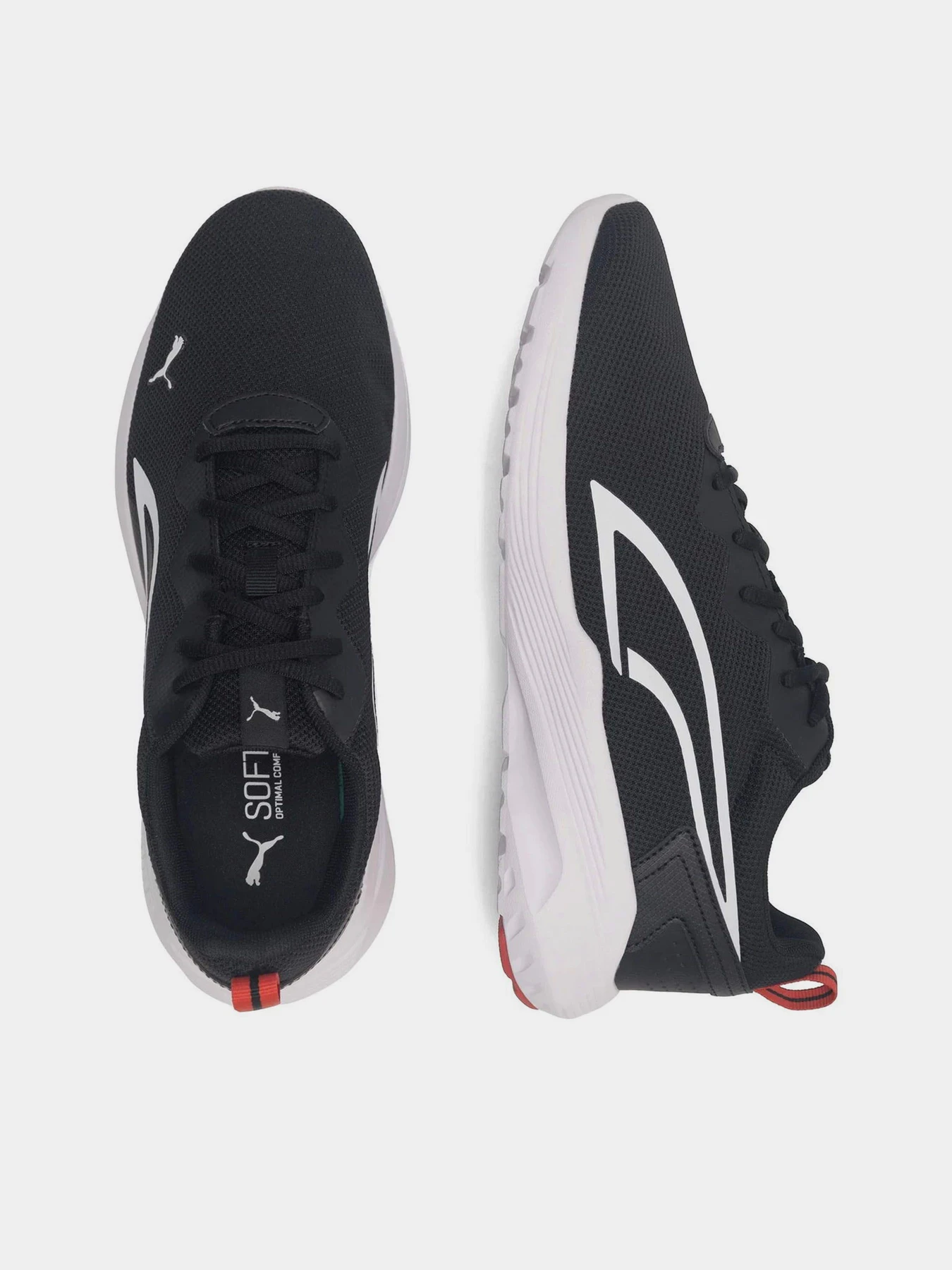 Кроссовки PUMA ALL-DAY ACTIVE модель 38626903 Фото