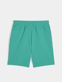 Шорти PUMA MAPF1 ESSENTIALS модель 62376102 Фото