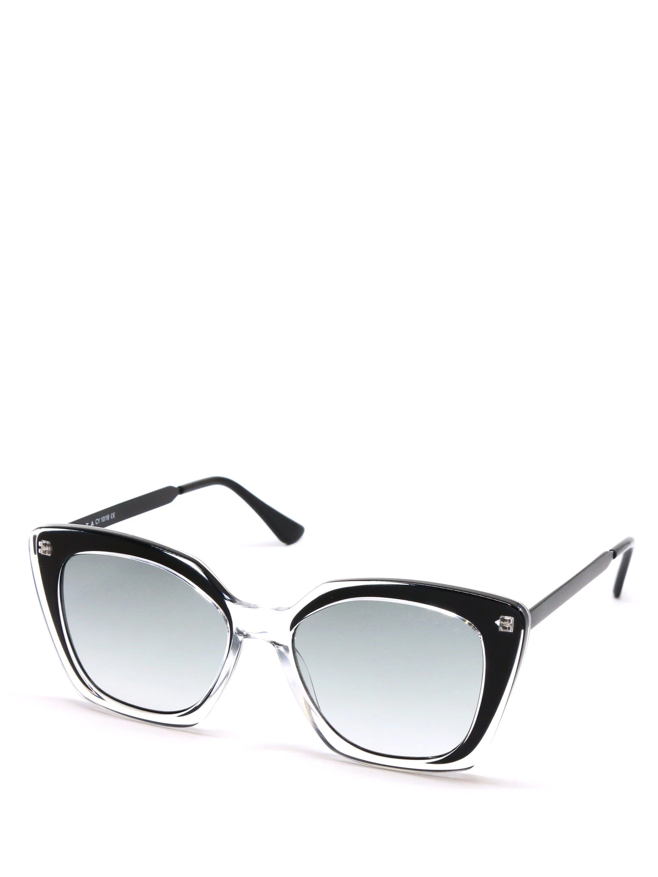 Очки Casta модель Casta E 259 BK Очки Casta модель Casta E 259 BK Фото