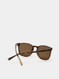Очки Casta модель CASTA CS 3013 DEMIBRN Фото