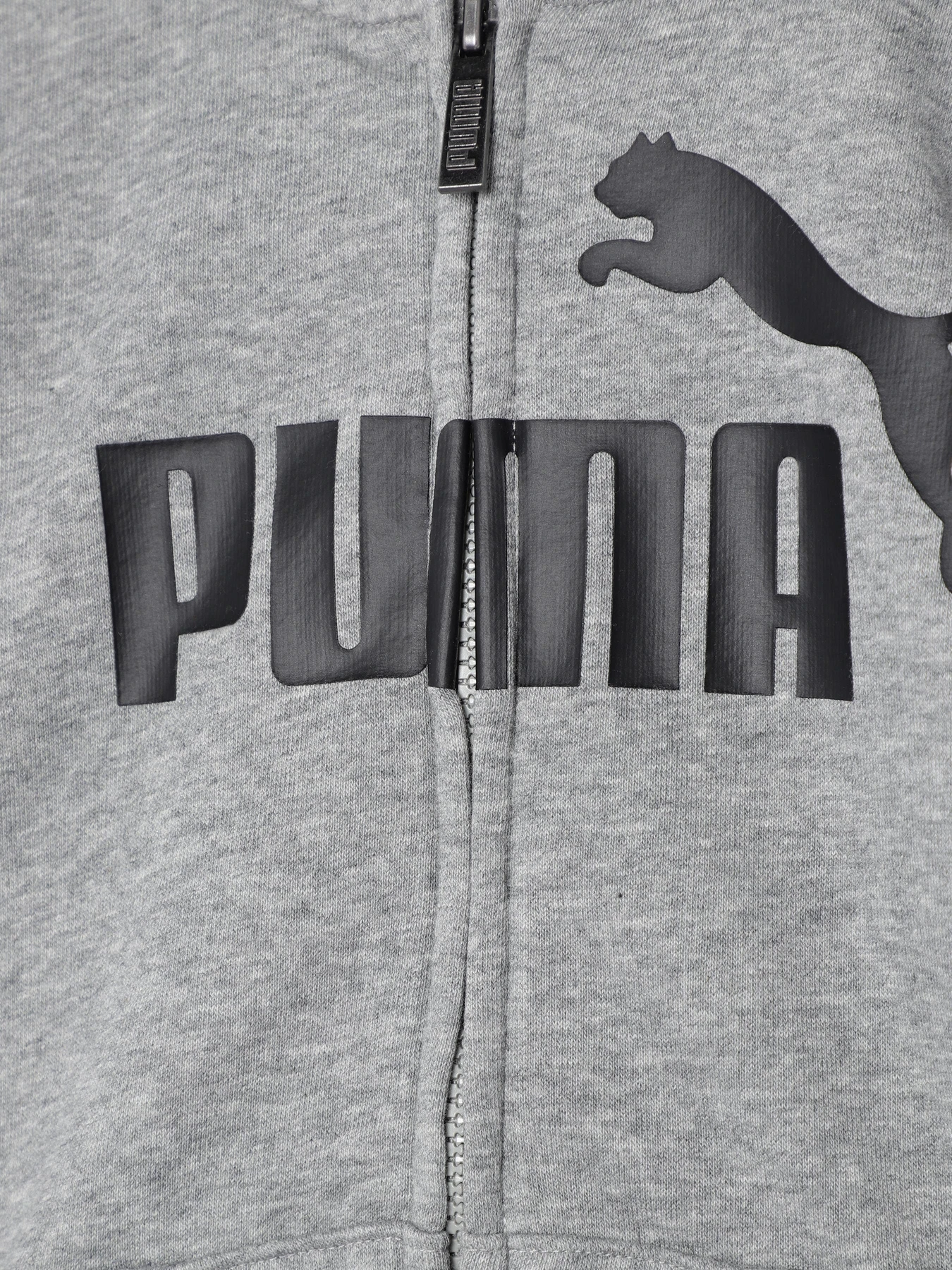Худи и свитшоты PUMA ESS BIG LOGO FZ модель 58696803 Худи и свитшоты PUMA ESS BIG LOGO FZ модель 58696803 Фото
