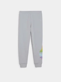 Штани PUMA X TROLLS SWEATPANTS TR модель 62483063 Фото