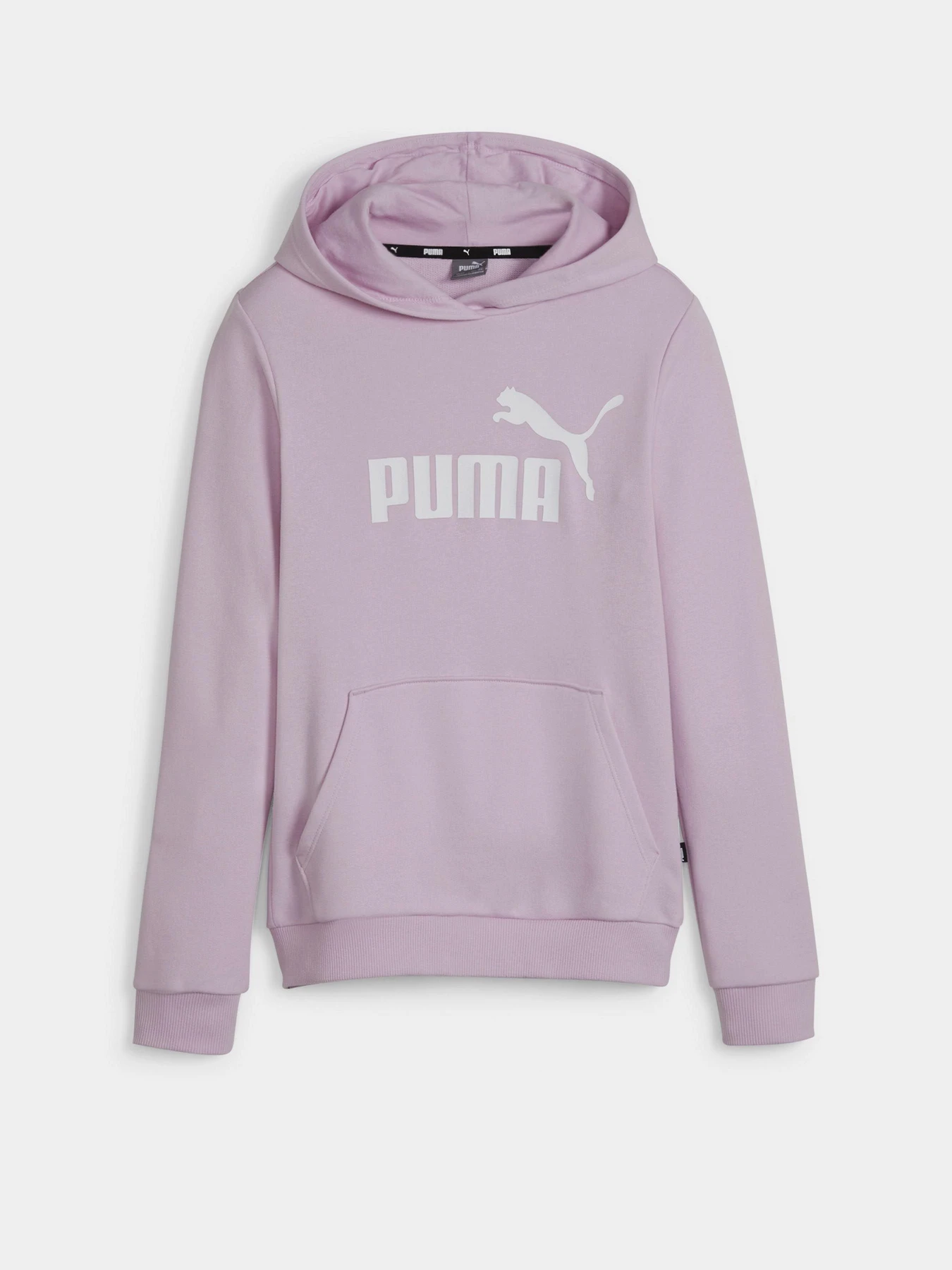 Худи и свитшоты PUMA ESSENTIALS LOGO модель 58703060 Фото