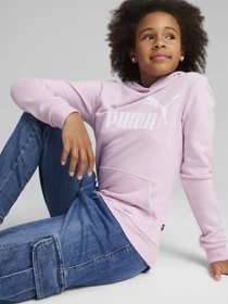 Худи и свитшоты PUMA ESSENTIALS LOGO модель 58703060 Фото