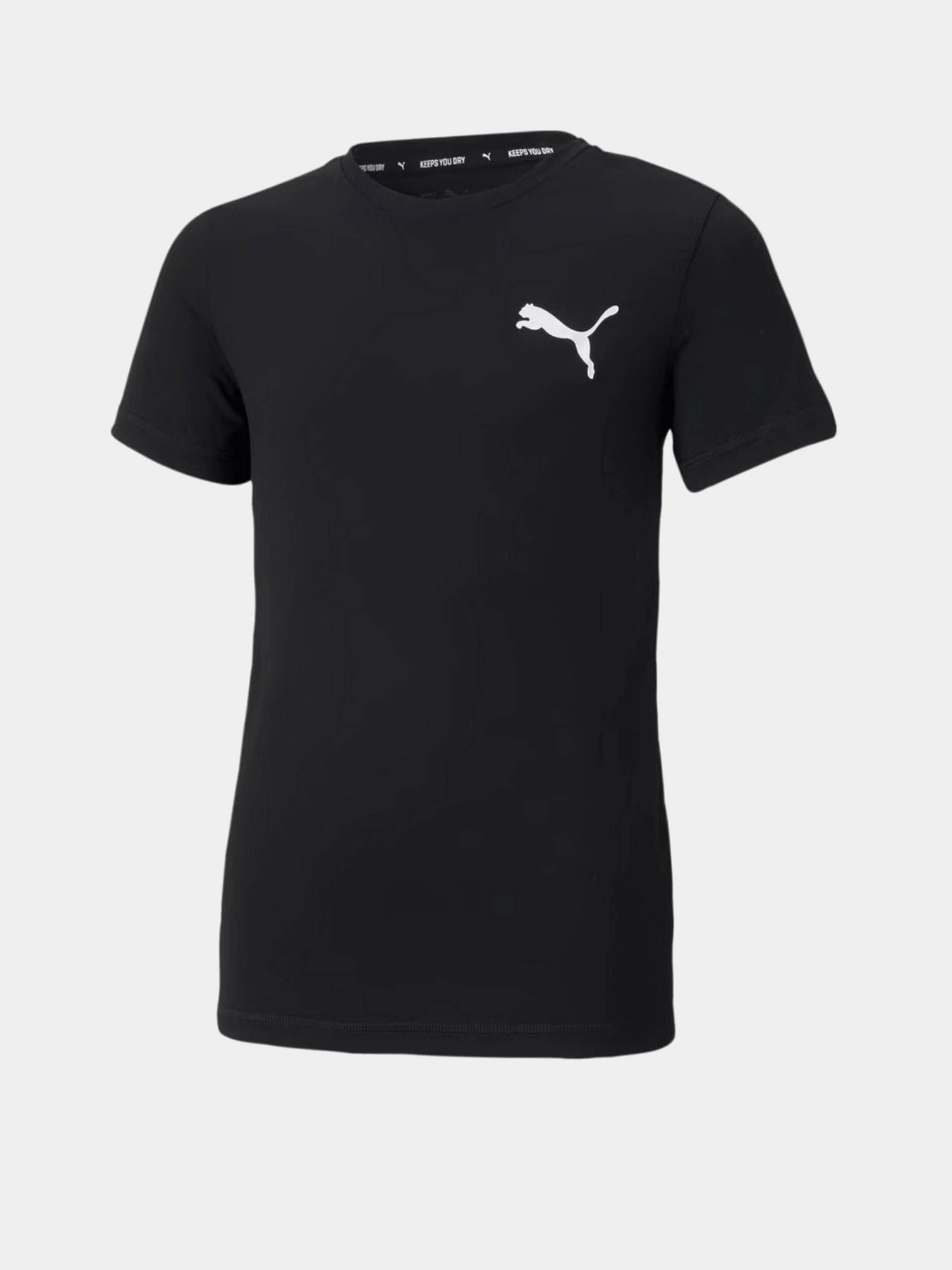 Футболки і поло PUMA ACTIVE SMALL LOGO модель 58698001 Футболки і поло PUMA ACTIVE SMALL LOGO модель 58698001 Фото