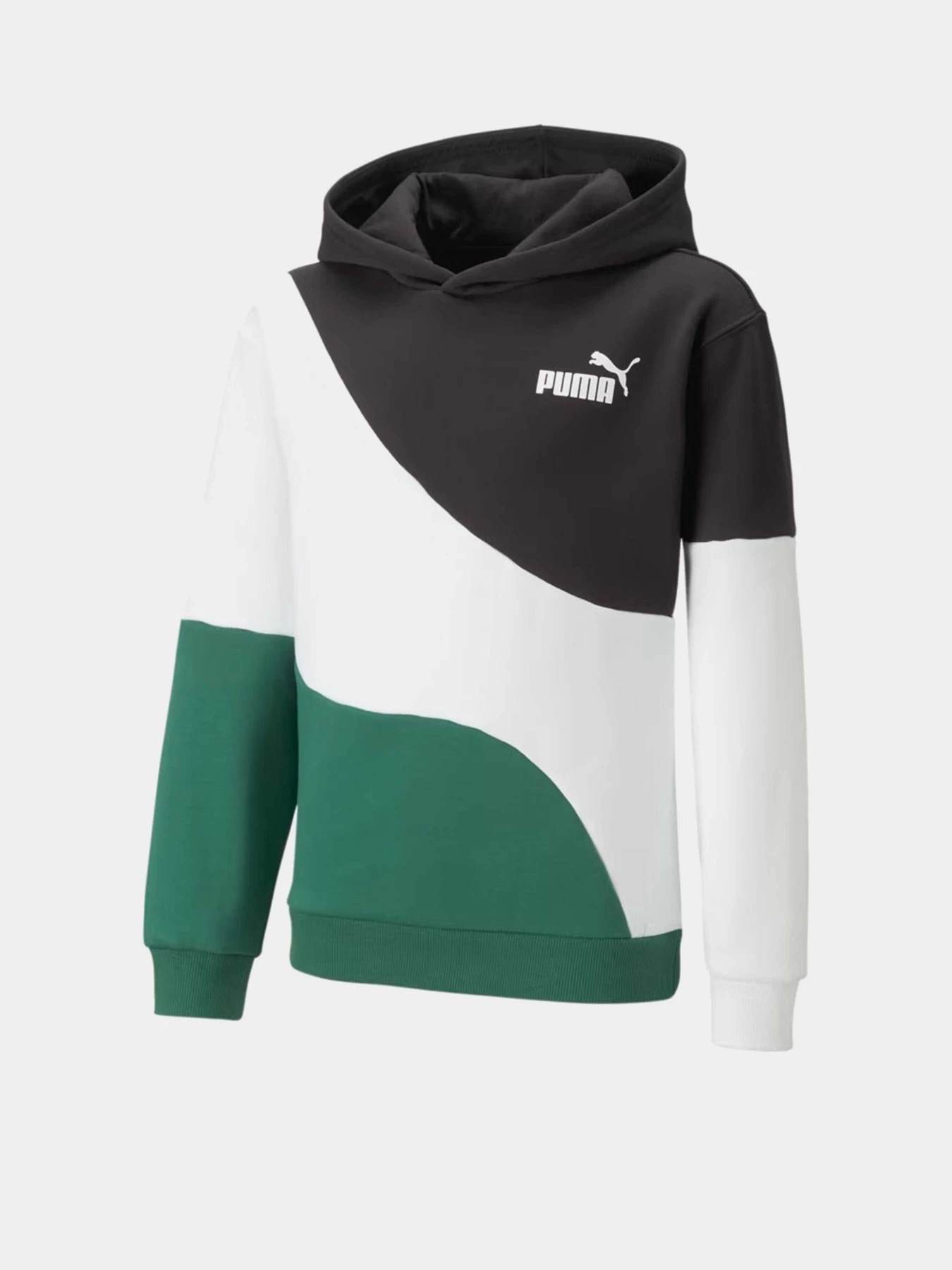 Худи и свитшоты PUMA POWER CAT модель 67423237 Худи и свитшоты PUMA POWER CAT модель 67423237 Фото