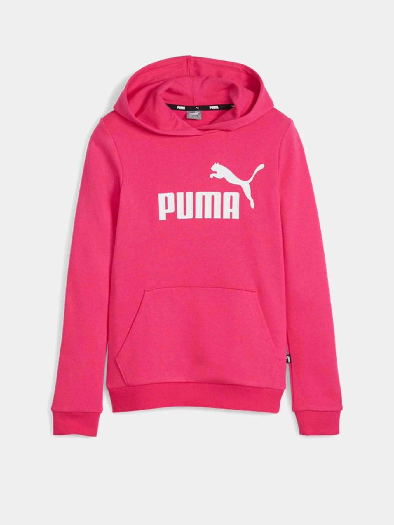 Худи и свитшоты PUMA ESSENTIALS LOGO модель 58703048 Фото