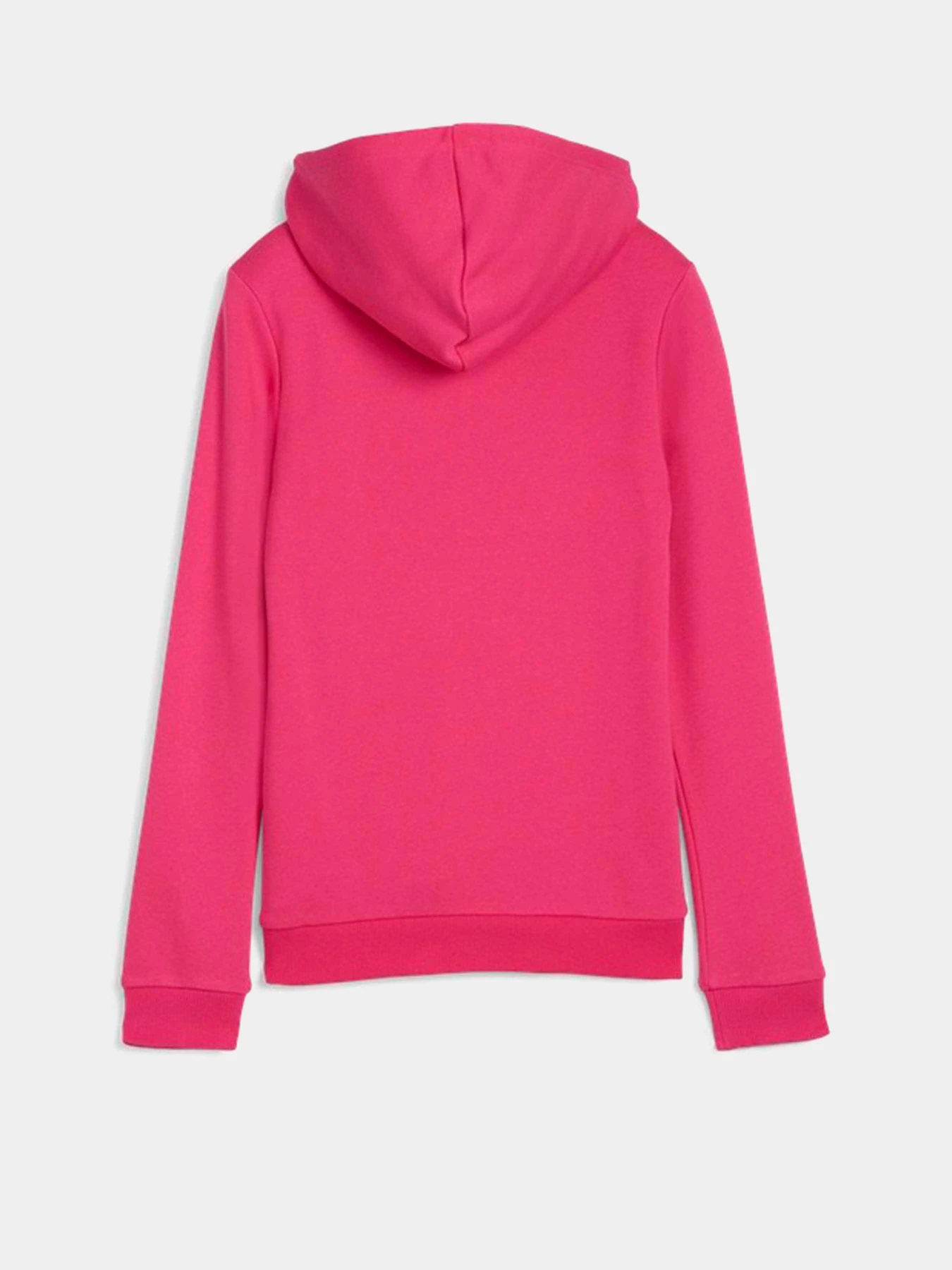 Худи и свитшоты PUMA ESSENTIALS LOGO модель 58703048 Фото