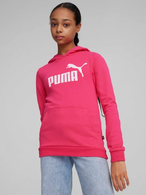 Худи и свитшоты PUMA ESSENTIALS LOGO модель 58703048 Фото