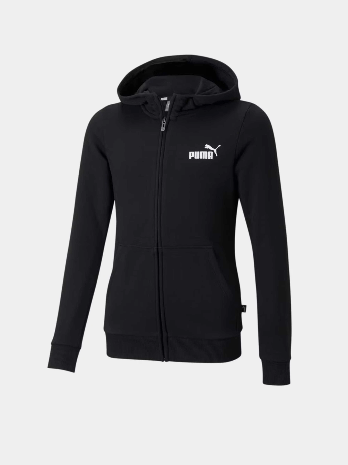 Худи и свитшоты PUMA ESSENTIALS SMALL LOGO модель 58703301 Худи и свитшоты PUMA ESSENTIALS SMALL LOGO модель 58703301 Фото