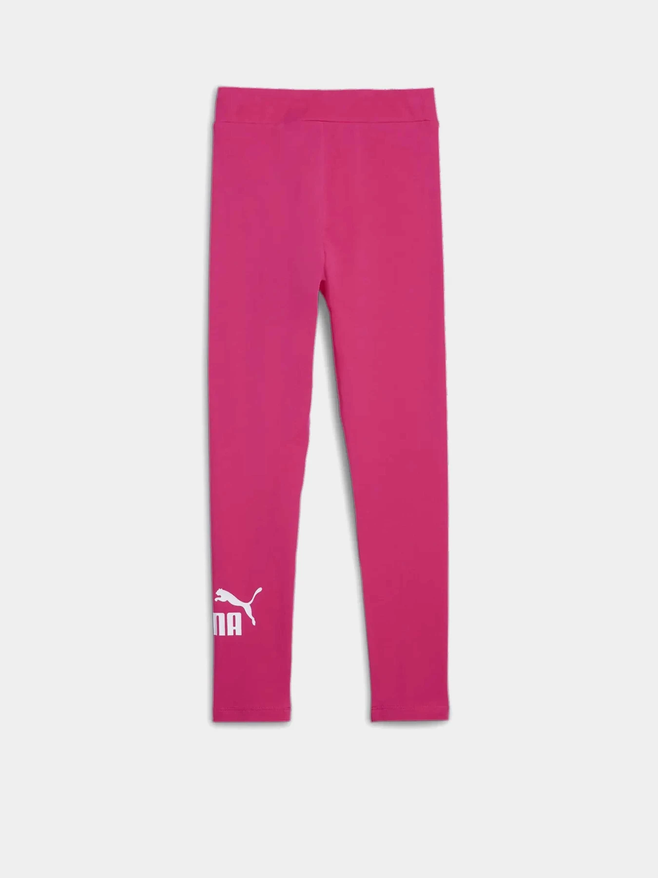 Брюки PUMA ESSENTIALS LOGO модель 58703548 Брюки PUMA ESSENTIALS LOGO модель 58703548 Фото