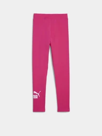 Брюки PUMA ESSENTIALS LOGO модель 58703548 Фото