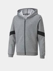 Худі та світшоти PUMA ACTIVE модель 58920203 Фото