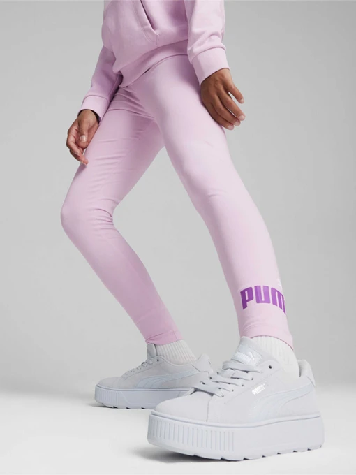 Брюки PUMA ESSENTIALS LOGO модель 67113360 Фото